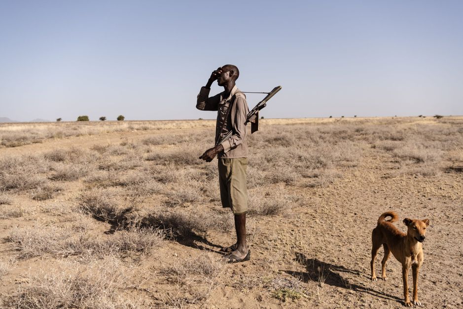 En mand med en hund på savannen