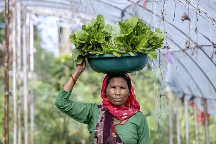 Kvinde bærer en spand fyldt med grønsager på hovedet