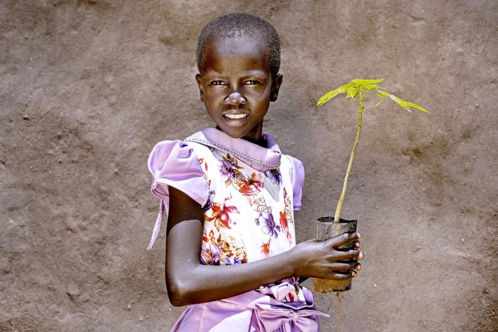 Pige med lilla kjole står med en træspire i hånden. Illustration til produktet. Giv et træ fra Folkekirkens Nødhjælp.