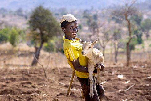 Dreng iført gul t-shirt smiler mens han løfter en ged med begge arme