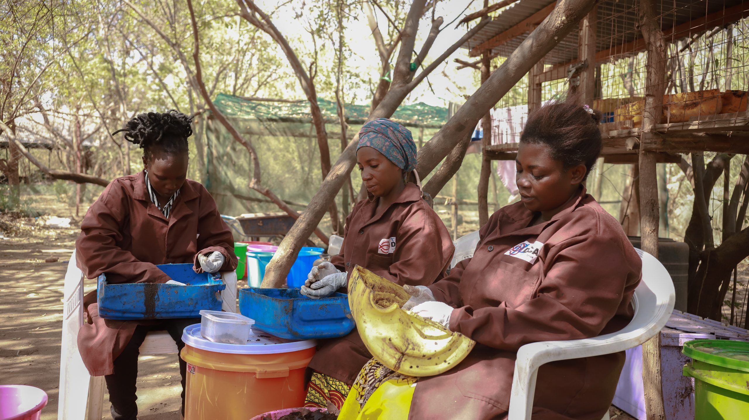 Three women sorting out insects outside.