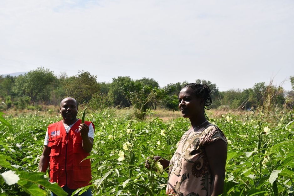 Fathia cultivated tomatoes, okra and maize, all of which yielded remarkable results.