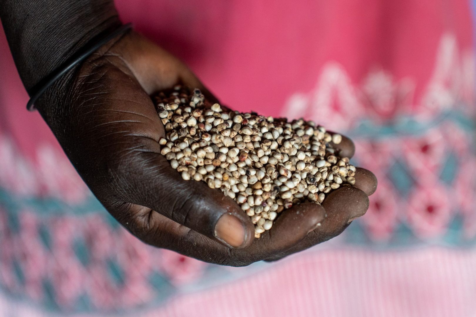 A New Approach in Budi County - DanChurchAid