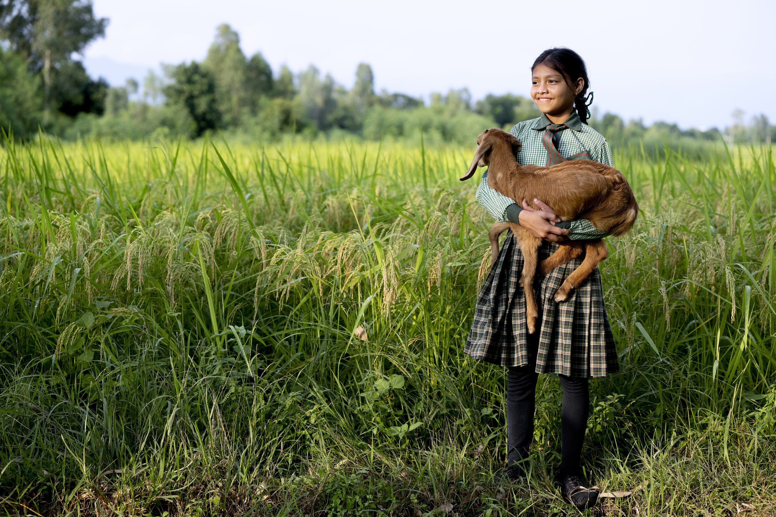 Ung pige med ternet skjorte står med et gedekid i hænderne på en græsmark