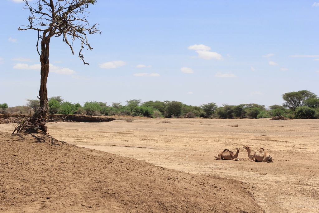 Udtørret flod i det nordlige Kenya