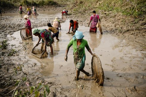 Kvinder står for fiskeopdræt i Nepal