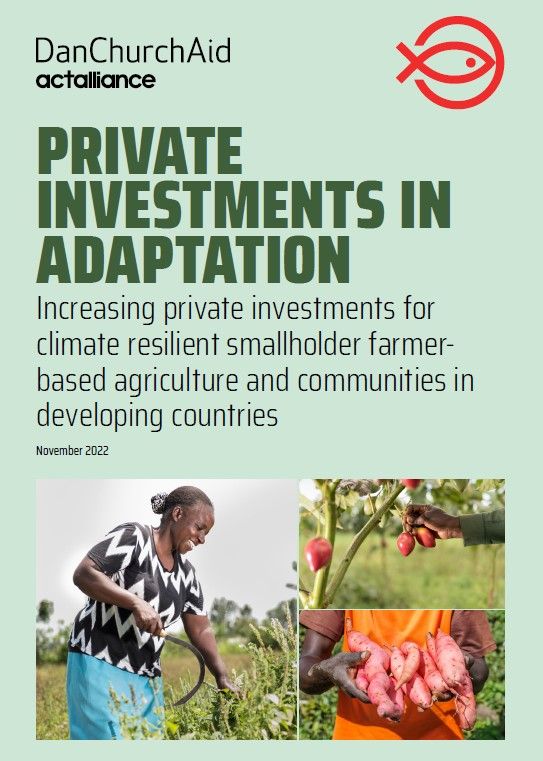 Privte investments in adaptation