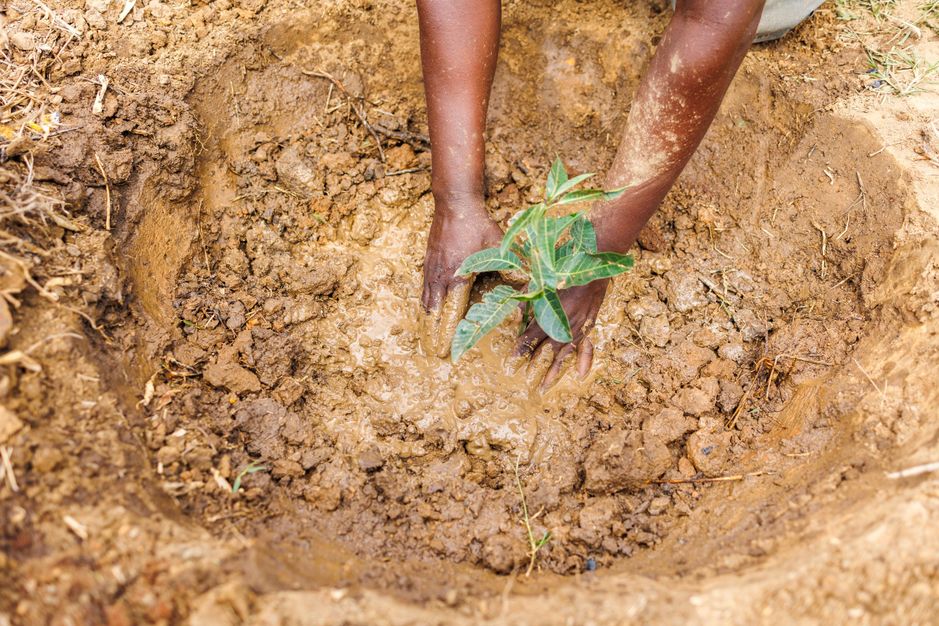 Elever fra St Jude skole, Uganda, lærer hvordan man bedst planter et træ