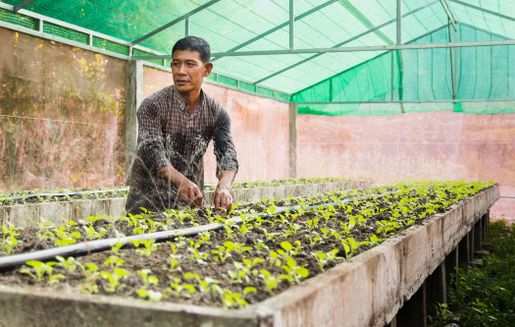 Mr. Chork Thoiurn plejer køkkenhave og underviser andre landmænd i Cambodia