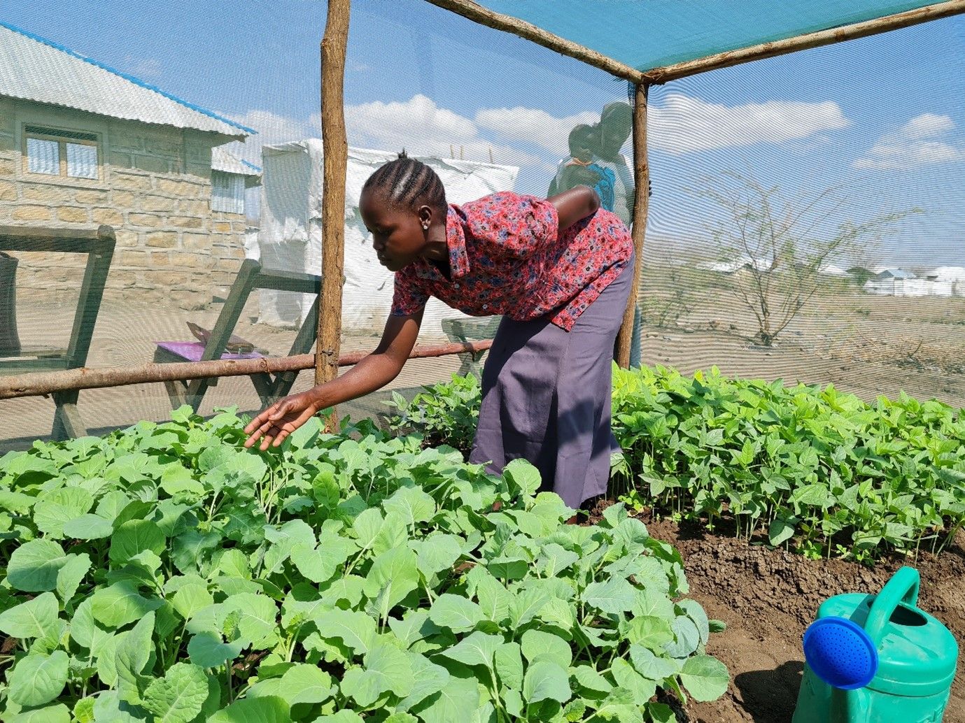 Refugee garden project in Kenya