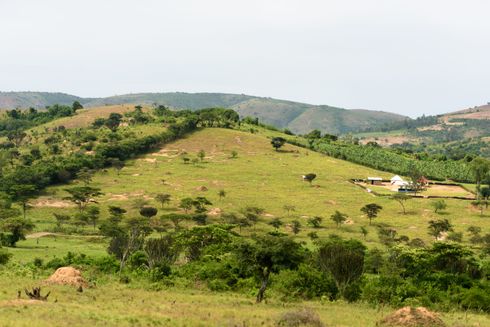 Landskab i Rakai, Uganda