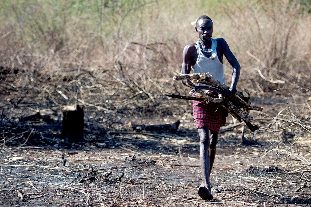 Mand bærer brænde i Uganda