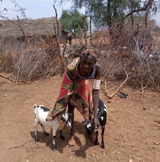 En kvinder der står med sine to geder foran gedernes indhegning.