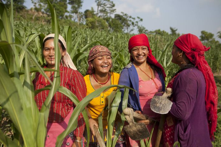 Et billede af fire kvinder i Nepal på en mark, der står og smiler og griner.