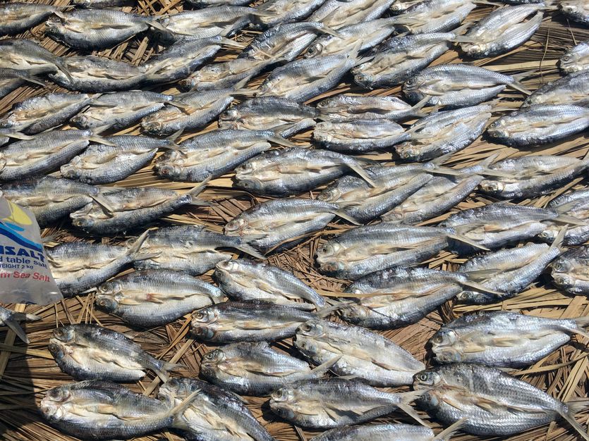 Stort antal tørrede fisk ligger til salg