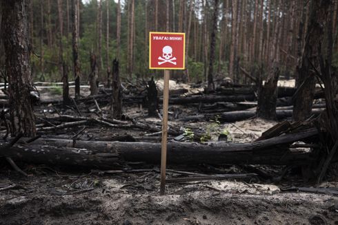 Rødt advarselsskilt med dødningehoved på sat i jorden foran bombarderet og brændt skov
